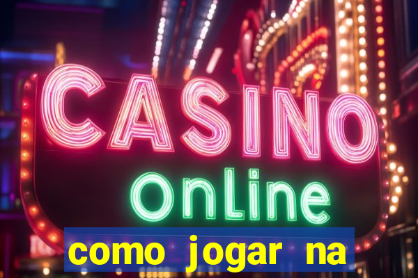 como jogar na teimosinha da lotofacil