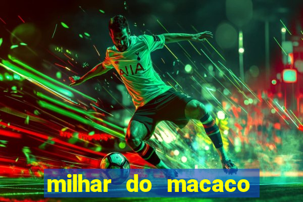 milhar do macaco que mais saem no jogo do bicho