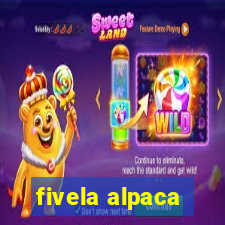 fivela alpaca