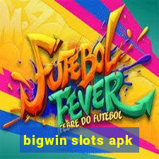 bigwin slots apk