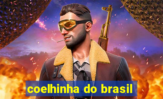 coelhinha do brasil