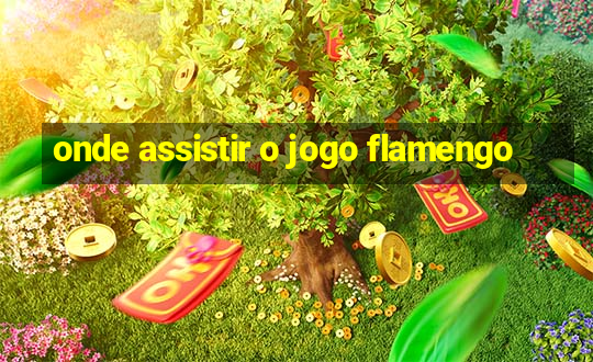 onde assistir o jogo flamengo