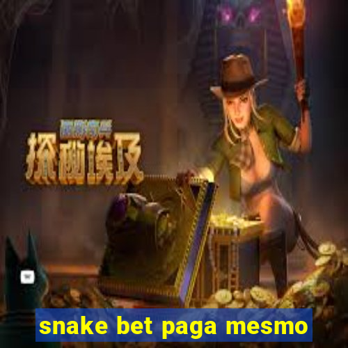 snake bet paga mesmo