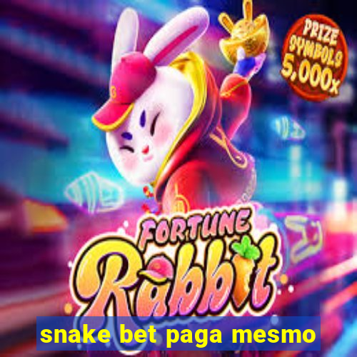 snake bet paga mesmo