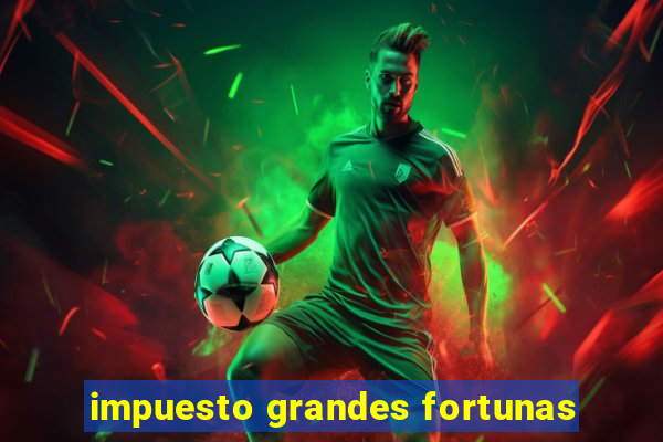 impuesto grandes fortunas