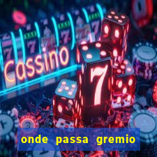 onde passa gremio x operario