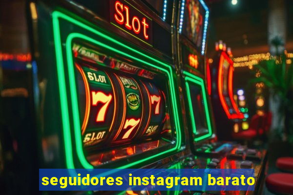 seguidores instagram barato