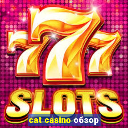 cat casino обзор