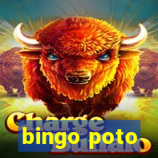 bingo poto