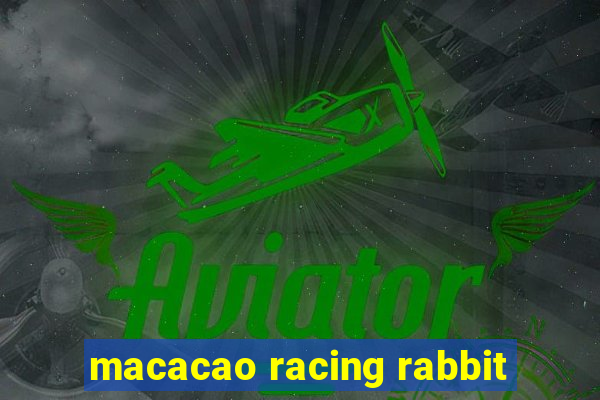 macacao racing rabbit