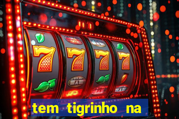 tem tigrinho na bet 365