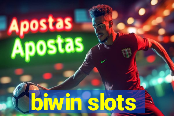 biwin slots