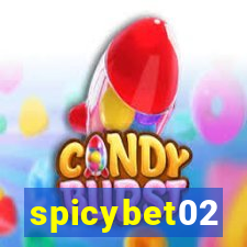 spicybet02