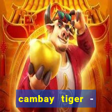 cambay tiger - seafood & meat