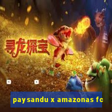 paysandu x amazonas fc