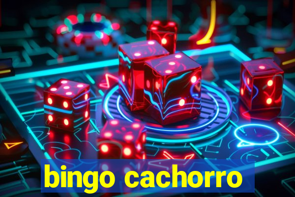 bingo cachorro