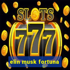 elin musk fortuna