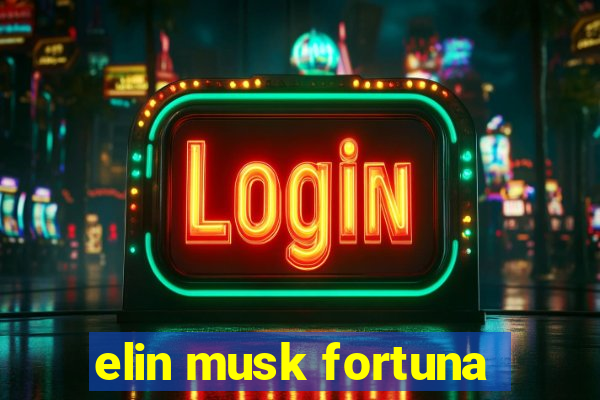 elin musk fortuna