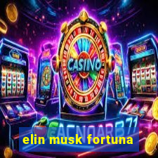 elin musk fortuna