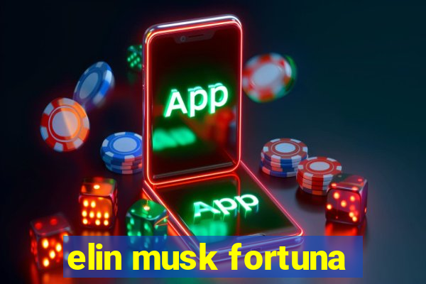 elin musk fortuna