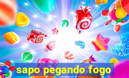 sapo pegando fogo