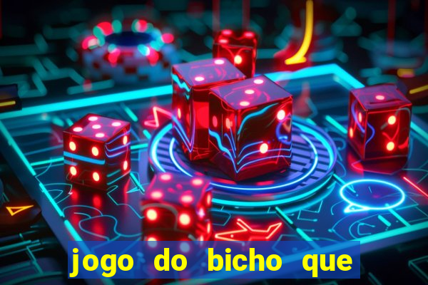 jogo do bicho que da dinheiro