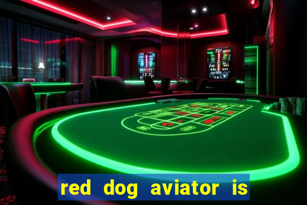 red dog aviator is real or fake