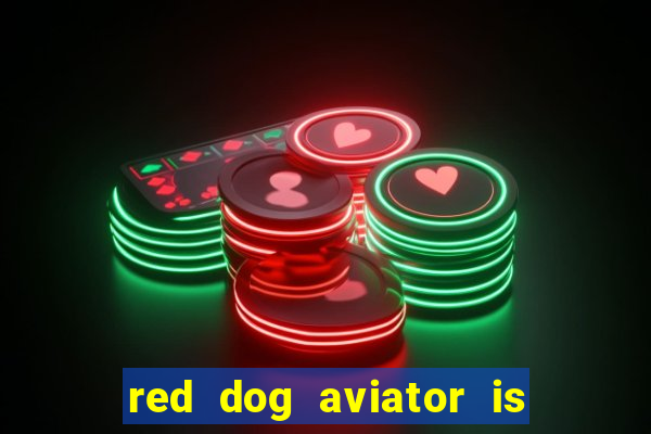 red dog aviator is real or fake