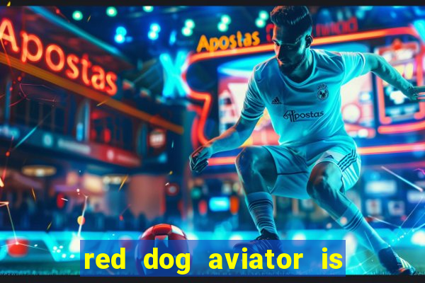 red dog aviator is real or fake