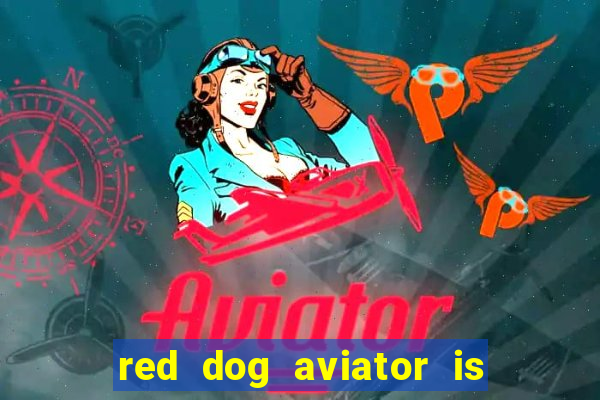 red dog aviator is real or fake