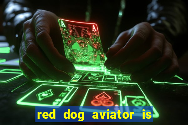 red dog aviator is real or fake