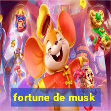 fortune de musk