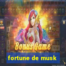 fortune de musk