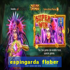 espingarda flober calibre 22