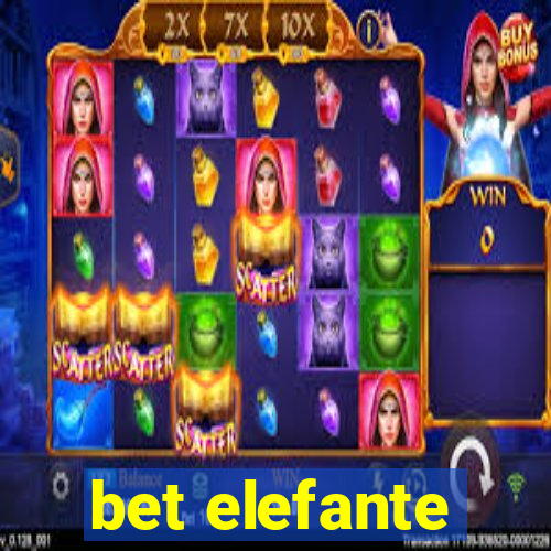 bet elefante