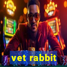 vet rabbit