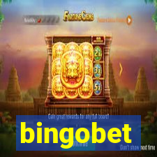 bingobet