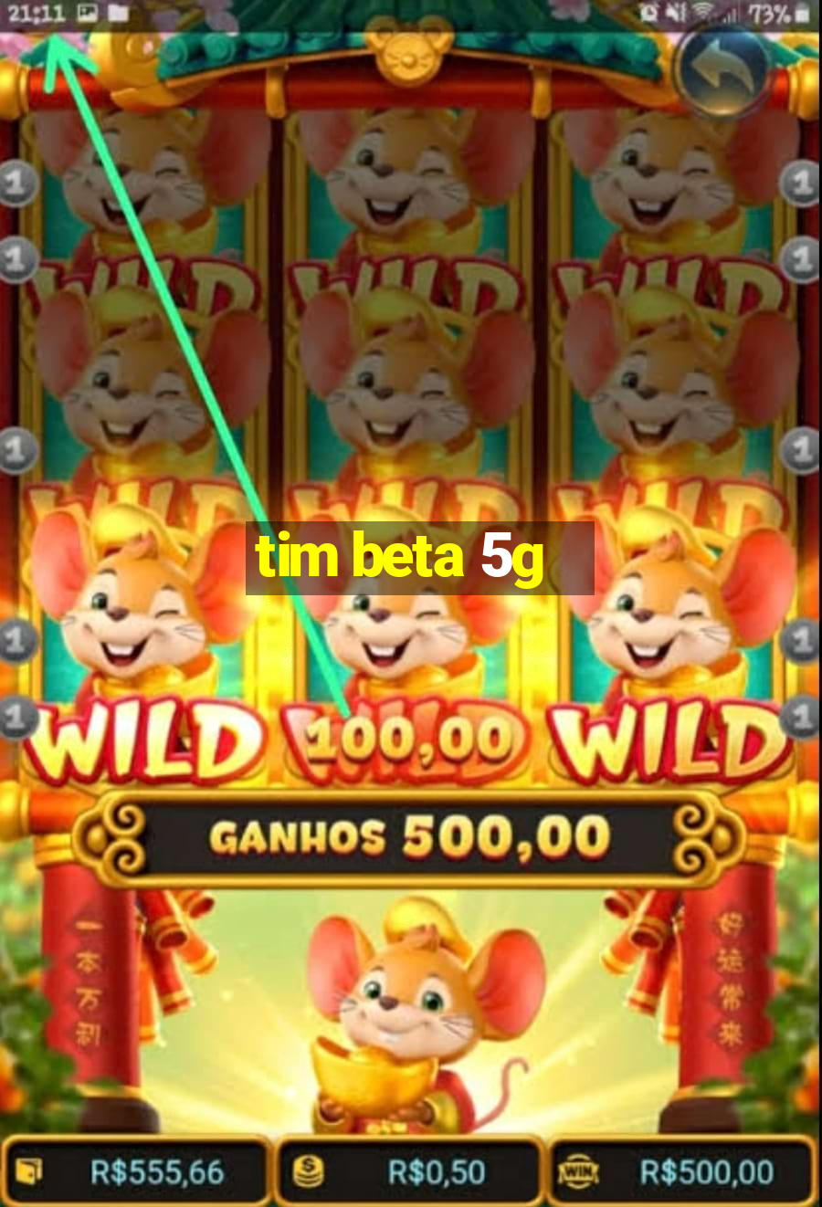 tim beta 5g