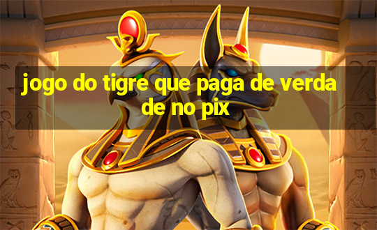 jogo do tigre que paga de verdade no pix