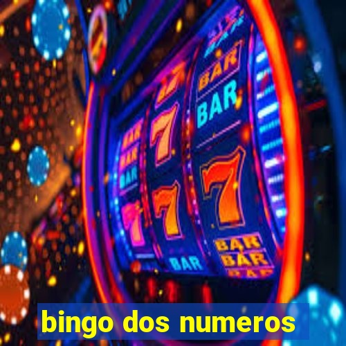 bingo dos numeros