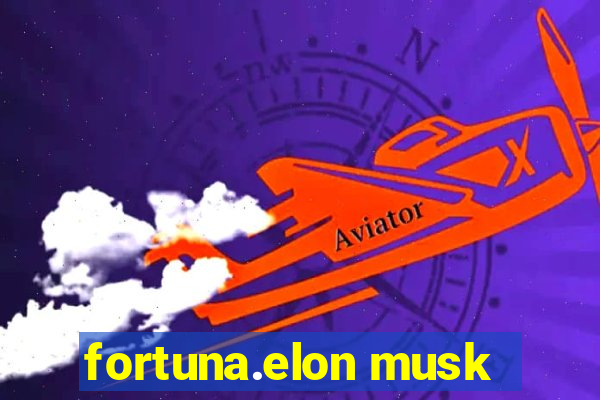 fortuna.elon musk