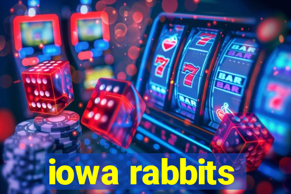 iowa rabbits