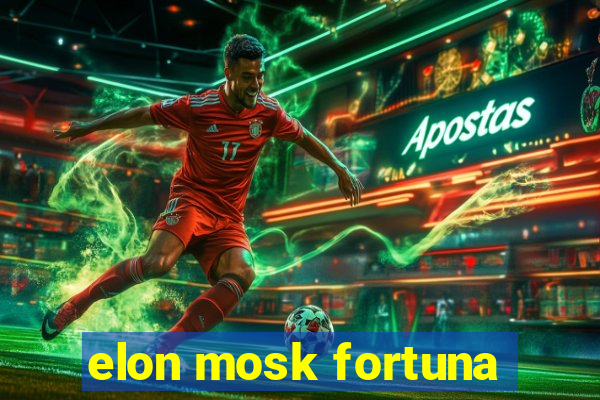 elon mosk fortuna