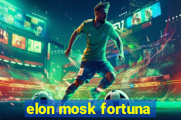 elon mosk fortuna