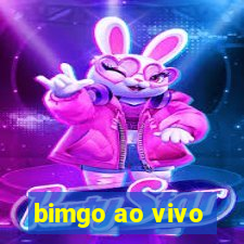 bimgo ao vivo