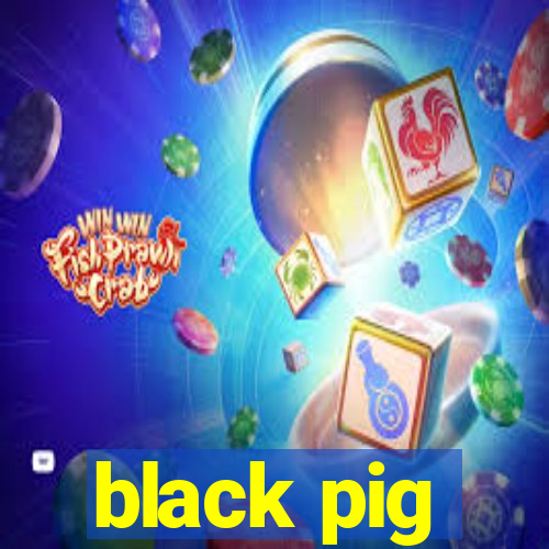 black pig