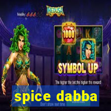 spice dabba