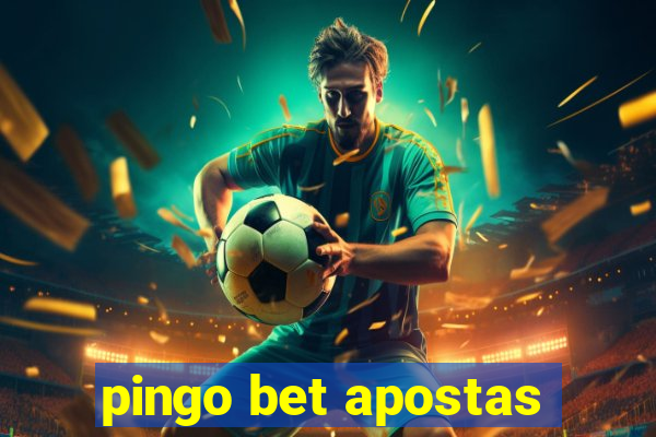 pingo bet apostas