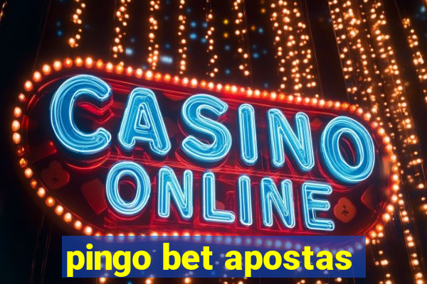 pingo bet apostas