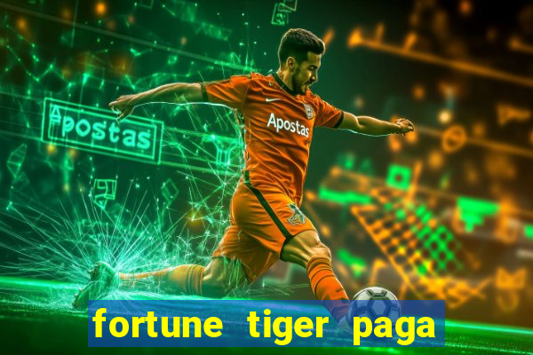 fortune tiger paga de madrugada